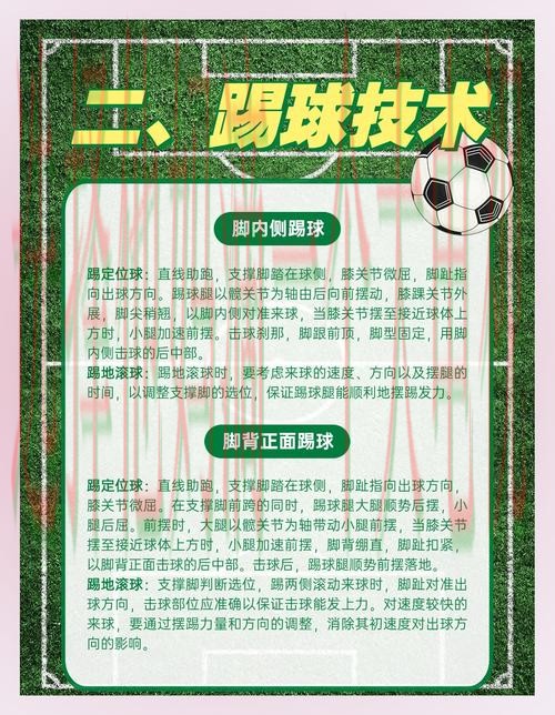 全方位解析B体育综合版体验