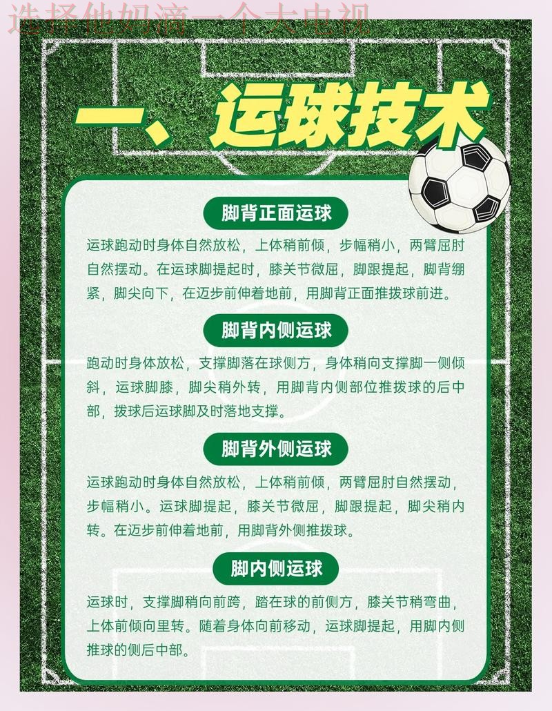 全方位解析B体育综合版体验