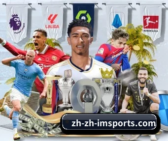 im体育 APP | IM SPORTS