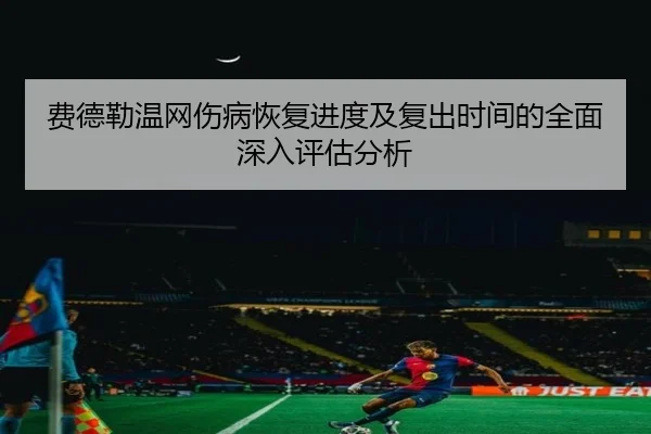 费德勒温网伤病恢复进度及复出时间的全面深入评估分析
